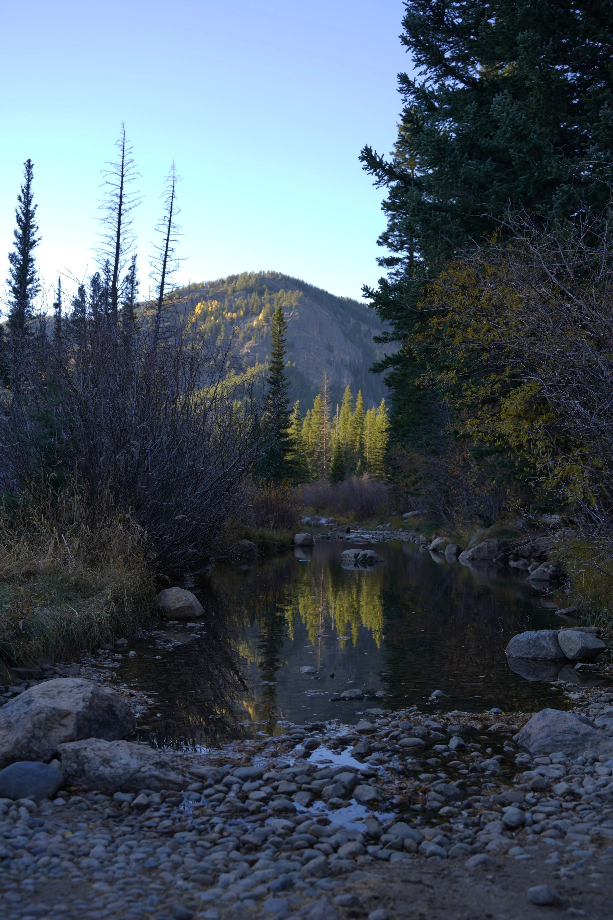 A creek at dusk in a mountain valley with fall-yellow aspen reflected in still water.