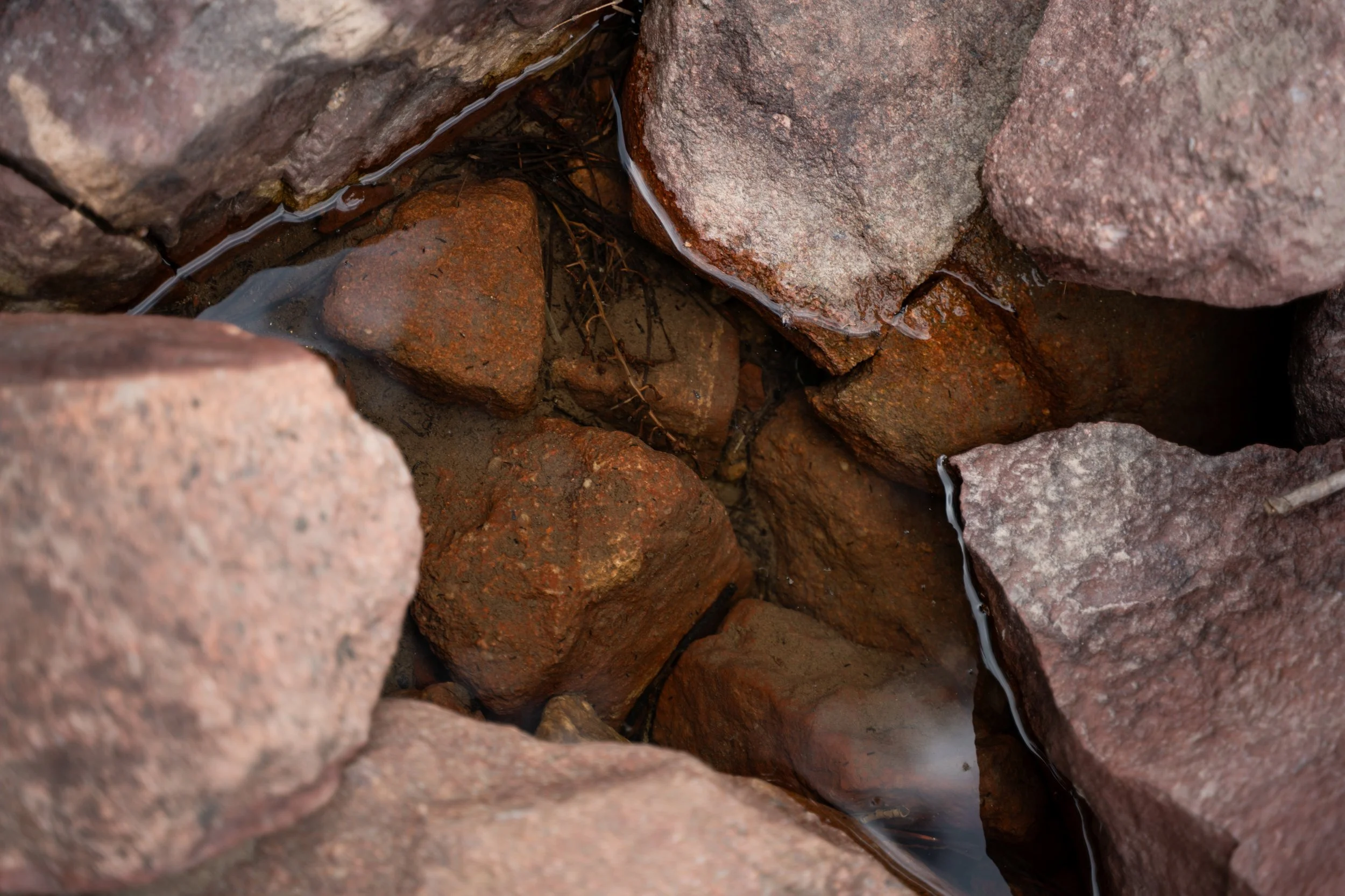 Water pooled in a red rock crevice, reflecting sky.