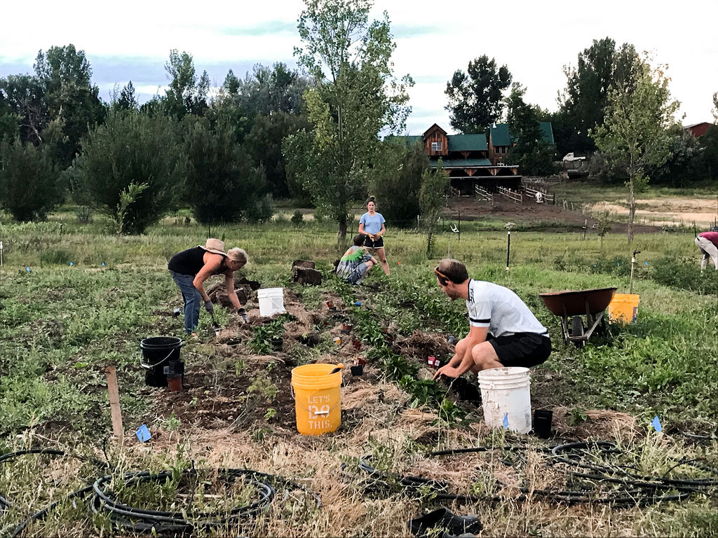 Community Grant Rounds